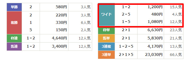 無料予想検証②：2024年5月10日川崎2R　結果　うまマル